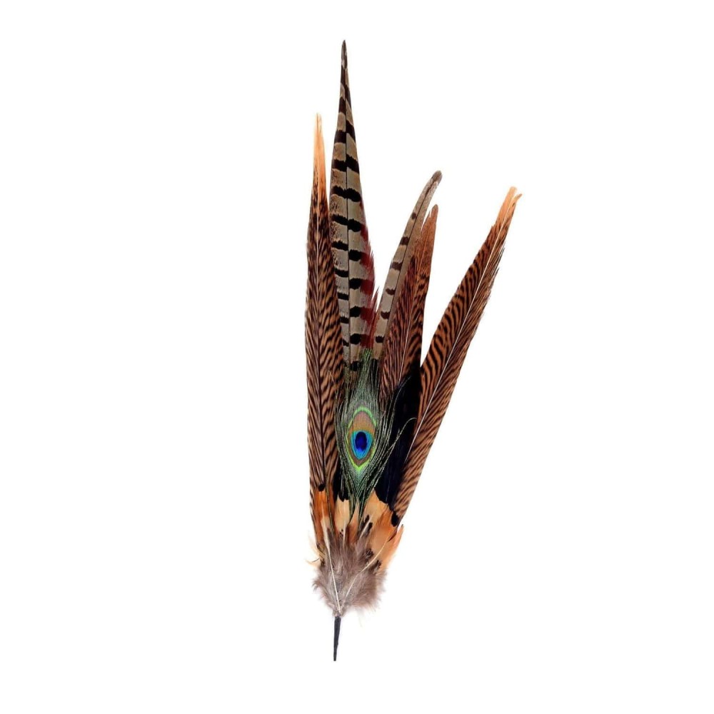 Feather Mount - Large - Pheasant feathers and Peacock Eye