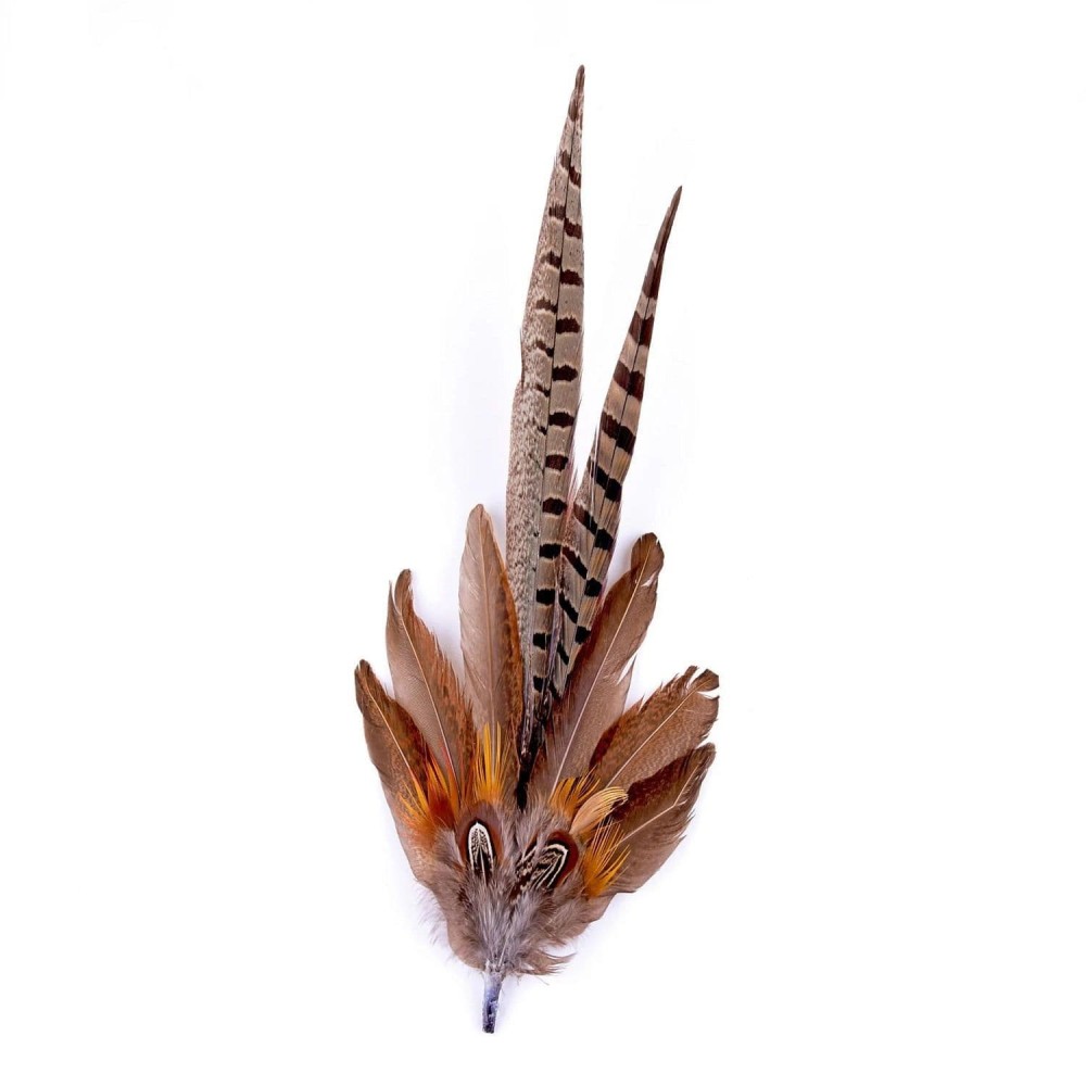 Feather Mount - Large - Pheasant feathers NO Peacock Eye