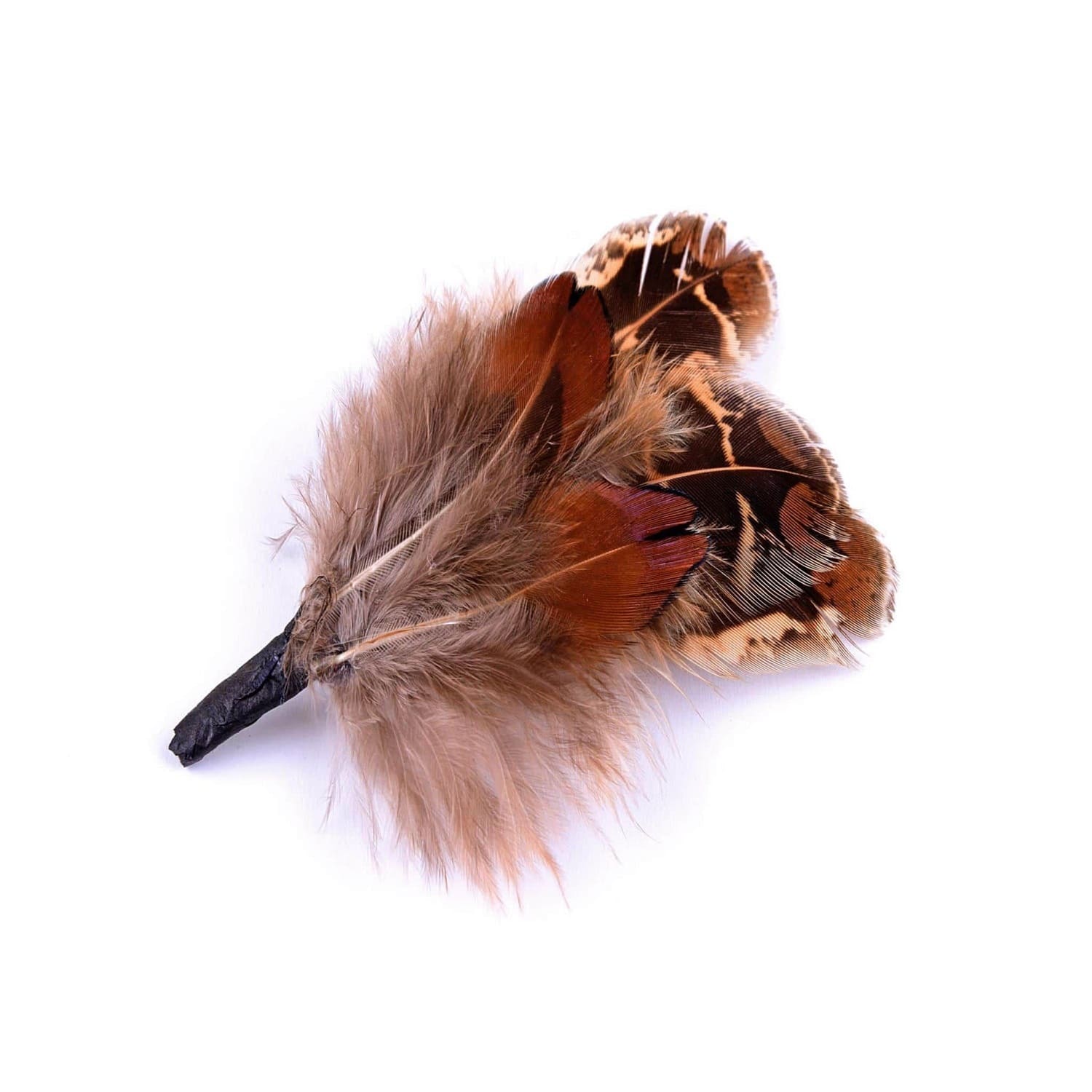 Feather Mount - Small - Pheasant feathers